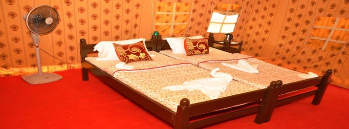 1432/Camp Leo & Gir Pride Resort - Gir National Park 06.jpg